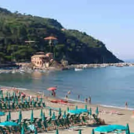 Lulu Apartmán Sarzana